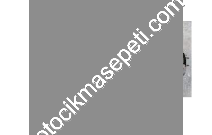 TOYOTA HİLUX ARKA ORJİNAL DEFRANSİYEL                 (XS2701S26)