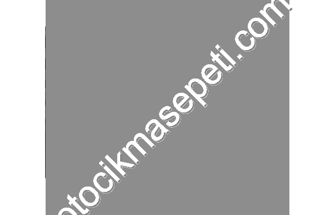 TOYOTA HİLUX   4-4  ARKA ÇIKMA DEFRANSİYEL            (XS2601S26)