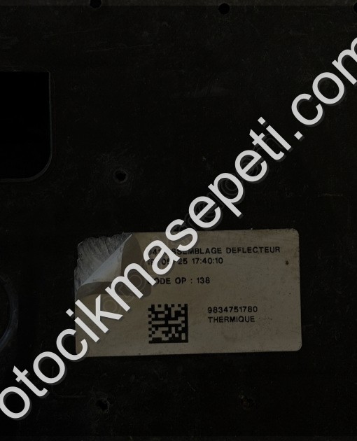 DS4 D41 ÖN TAMPON ALT MUHAFAZA 9834751780 Ç