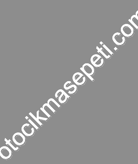 FORD FOCUS C MAX FİESTA MONDEO 1.6 DİZEL EURO 6 MOTOR