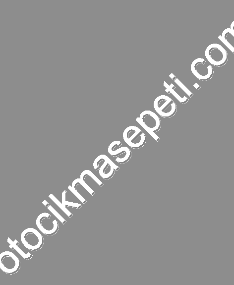 FORD FOCUS C MAX FİESTA MONDEO 1.6 DİZEL EURO 6 MOTOR