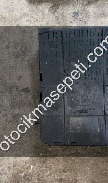 Pejo 5008 09-17 arası BSİ beyni